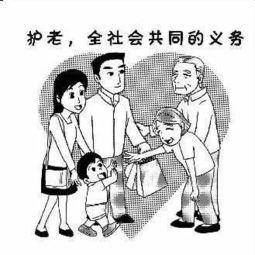 快看看,你有没有在不经意间虐待老人