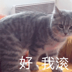 幽默搞笑表情包妹妹,你看我咋样