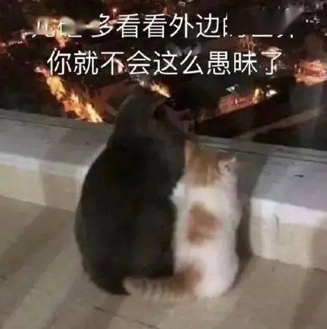 非要艺考生满眼失望的看着你吗