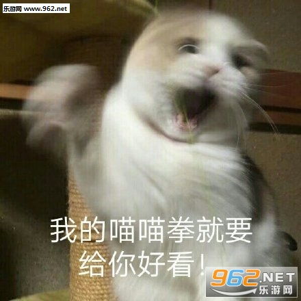 喵喵拳gif动图猫猫拳表情包下载乐游网游戏下载