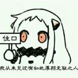 堆糖,美好生活研究所