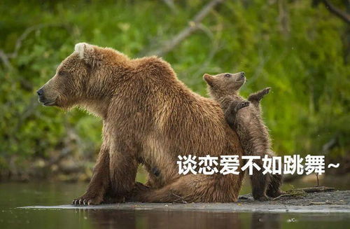 2021不正经动物摄影大赛回归,引全网爆笑哈哈哈比我都像人