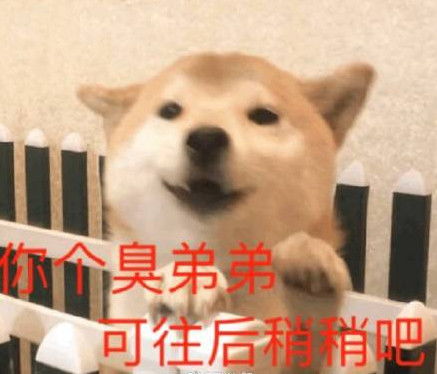 超皮的搞笑聊天表情逃避现实的我,裹紧了小被子
