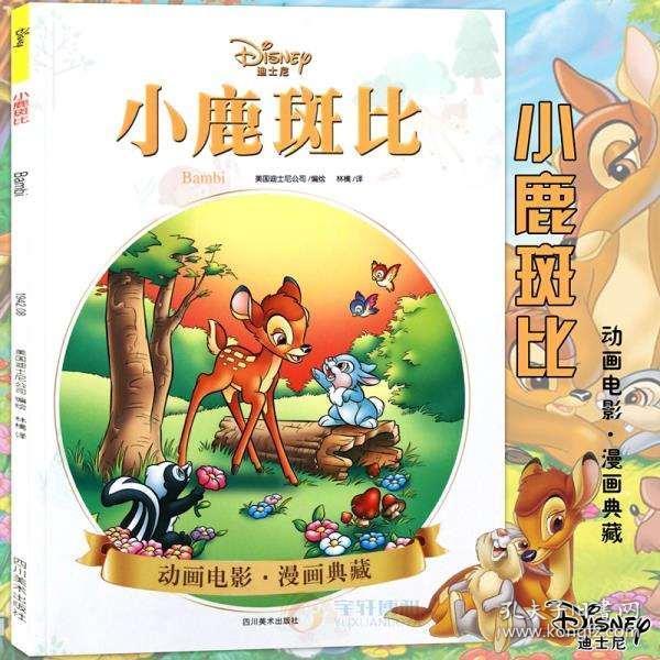 孔网分类