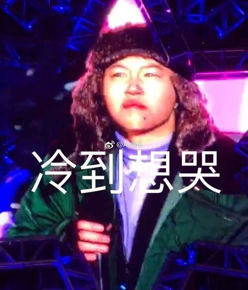 超爆笑窦靖童被冻成了表情包,个性十足的她如今活成了段子手