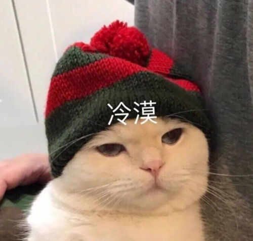 可爱搞怪的朋友圈文案