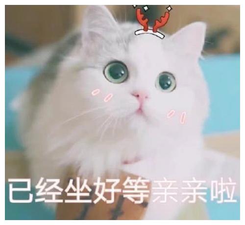 搞笑段子办公室一女同事,家有一岁多小女儿