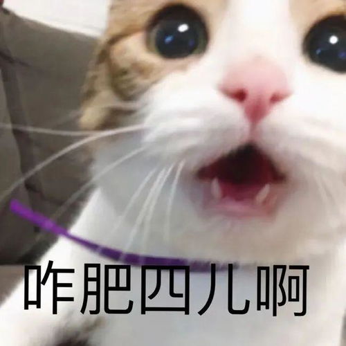 阳光玫瑰葡萄打了甜蜜素真相来了
