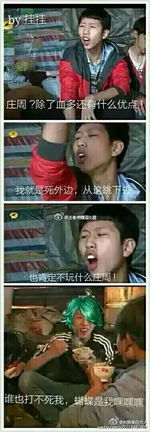 王者荣耀斗图表情包第三十三期庄周真厉害嘿嘿嘿