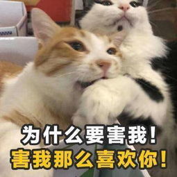 学到就是赚到土味情话表情包