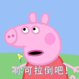 斗图必备的小猪佩奇表情包