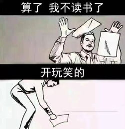 四通搬家把2017年的表情包串起来后,笑成智障了