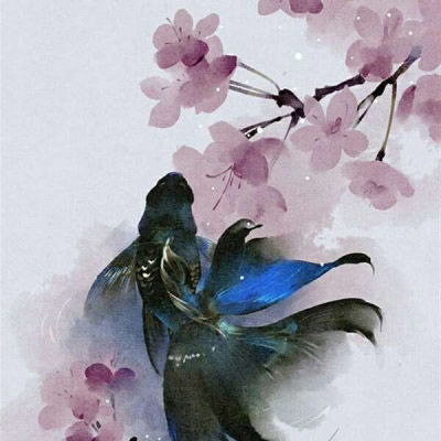 带来好运的微信头像花微信最吉利的好看头像