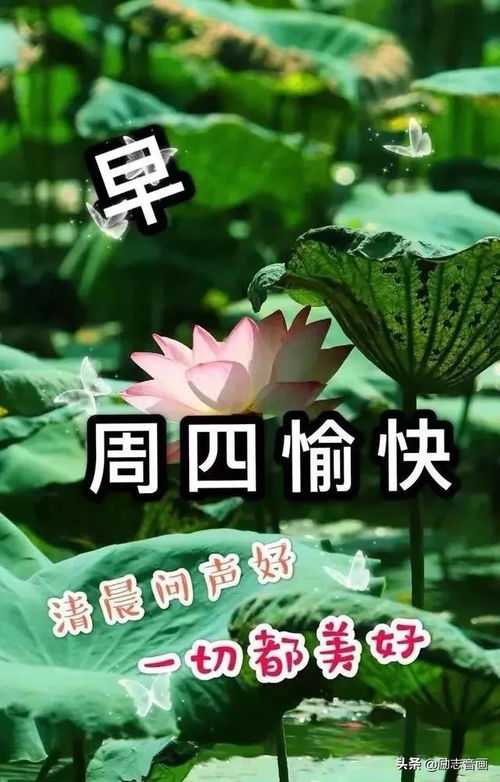 人生