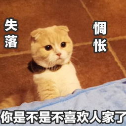 带字头像大全带字的女生头像qq头像男生带字腾牛个性网
