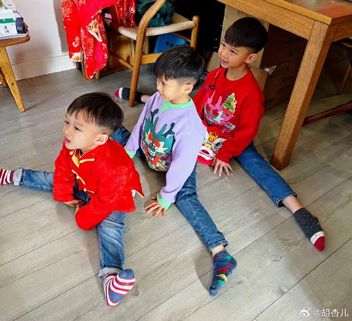 胡杏儿白色情人节晒全家福,三个儿子长成一张脸,一家五口超幸福
