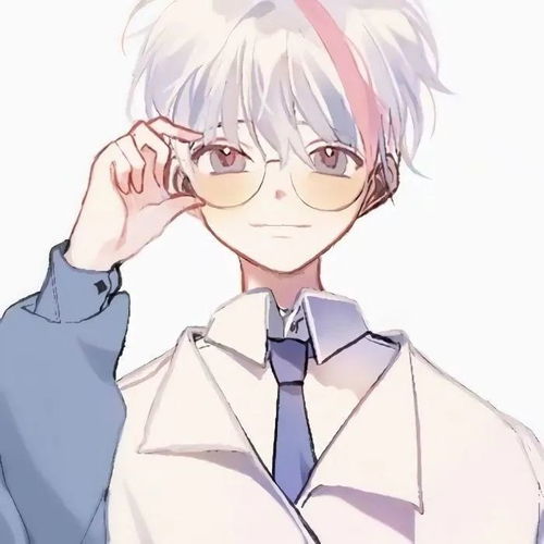 银发男头丨细碎发