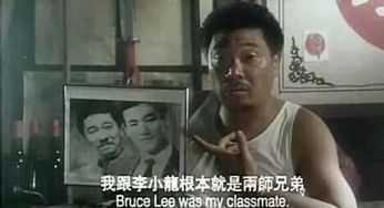 这些年胡说八道的影视剧台词,我读书少你别骗我出自这里