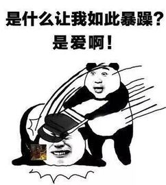 我妈是孙悟空,我爸是猪八戒,我是