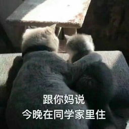 幽默段子17岁患儿急需肝移植,父亲坚持活体供肝