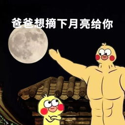 搞笑沙雕表情包把你捧在手心