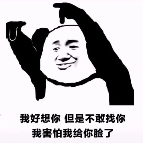 幽默搞笑表情包别说了,小肥猪
