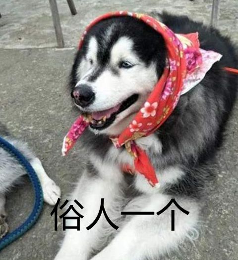 艺术漆到底是漆,还是艺术