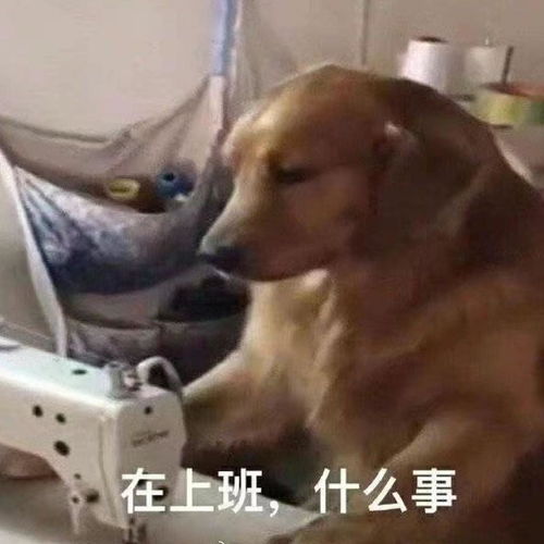 就是说有的时候还是适当使用钞能力