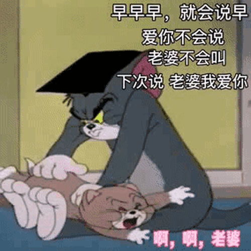 适合发给你男朋友的套路表情包
