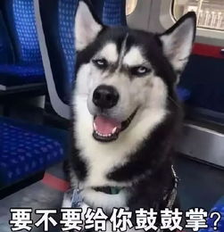 女儿爱玩手机,爸爸居然派它来监督作业也是为这个家操碎了心