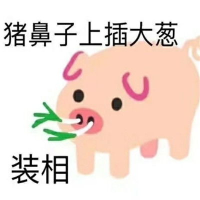 吵架专用搞笑的又很可爱的怼人表情包