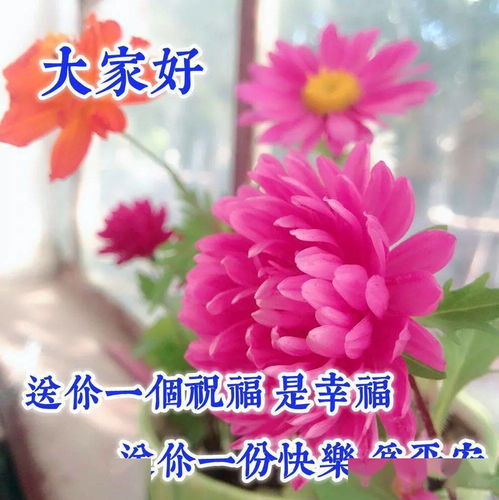 11月23日最漂亮早上好动态表情图片大全,早晨好动图美图大全