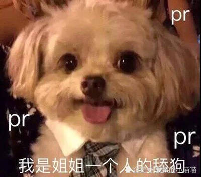 搞笑文案舔狗篇宝,昨天你把我删了,我看着红色的感叹号,陷入了沉思.