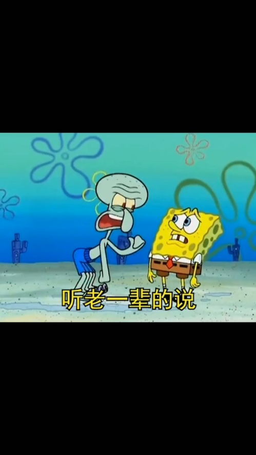 取图主页,听老一辈说表情包搞笑视频经典段子情侣夫妻海绵宝宝