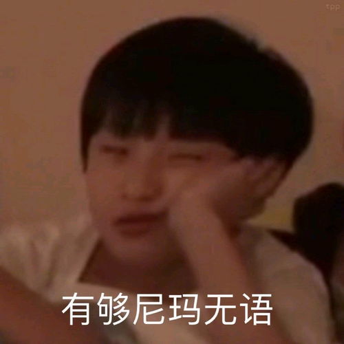 严浩翔贺峻霖我翔霖沙雕预警姆妈磕的cp一定是真的我求求你们在一起吧