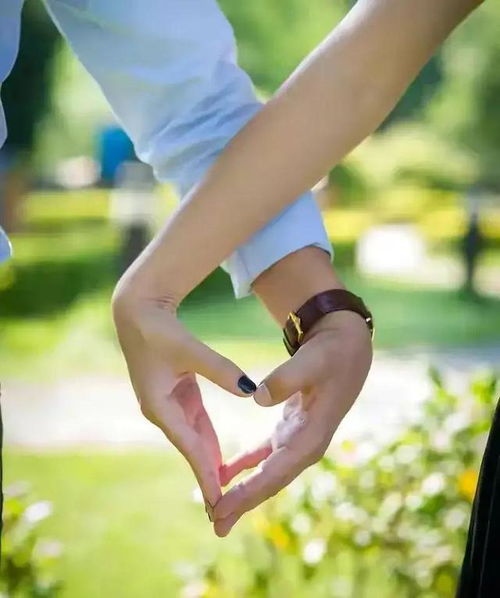 应老师的手