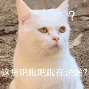 今日好玩的沙雕表情包