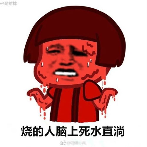 刷爆朋友圈的榆林夏季方言表情图横空出世