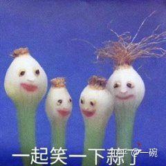 搞笑动图表情包高清表情包
