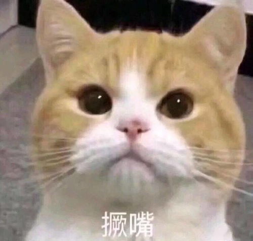 笔试从120到140,她是如何做到的