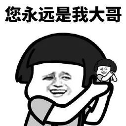 高小微买了本东北版哈利波特这些年东北话字幕组都带偏了啥
