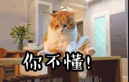 元宵灯会美出新高度此刻的豫园,就是一幅流动的江南百景图