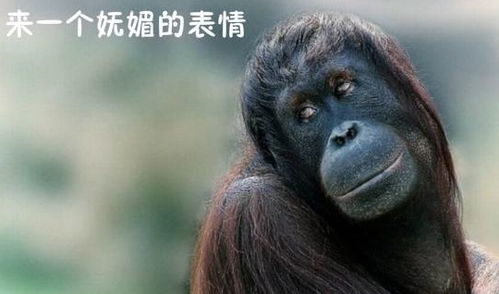 每日一笑这样碰瓷,你是专业出身,让人由衷佩服
