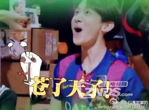 明星大侦探常驻嘉宾表情包汇总
