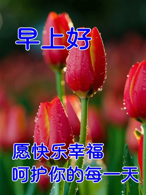 3月4日最漂亮早上好动态表情图片大全,早晨好动图美图大全