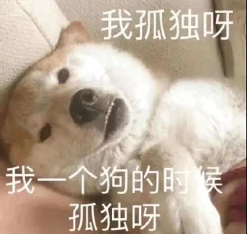 抖音最火表情包