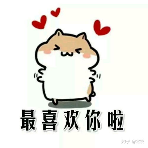 专业土情话