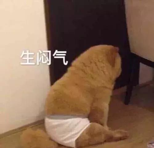 狗狗吃醋会有怎样的表现