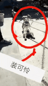 搞笑gif姑娘的表情太让人难以捉摸了