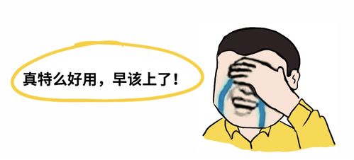 这些年,让客户泪流满面的erp